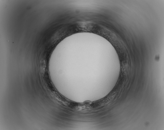 X0000097640752200803211832