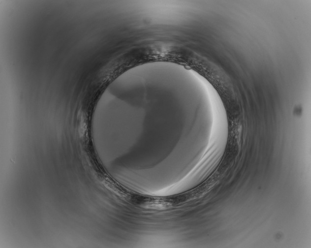 X0000097640754200803211832