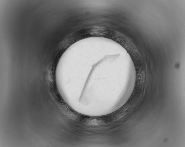 X0000097640755200803211832