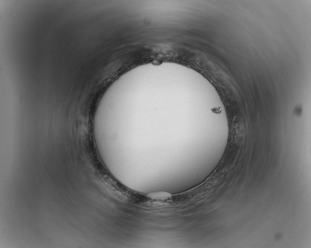 X0000097640756200803211832