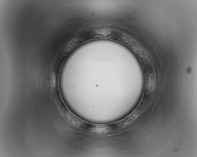 X0000097640758200803211832