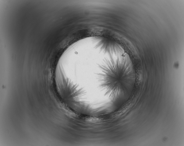 X0000097640759200803211832