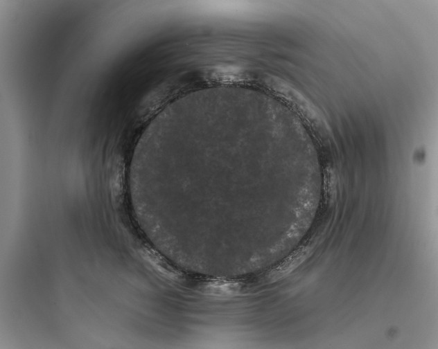 X0000097640760200803211832