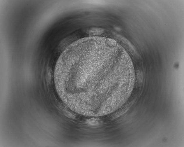 X0000097640761200803211832