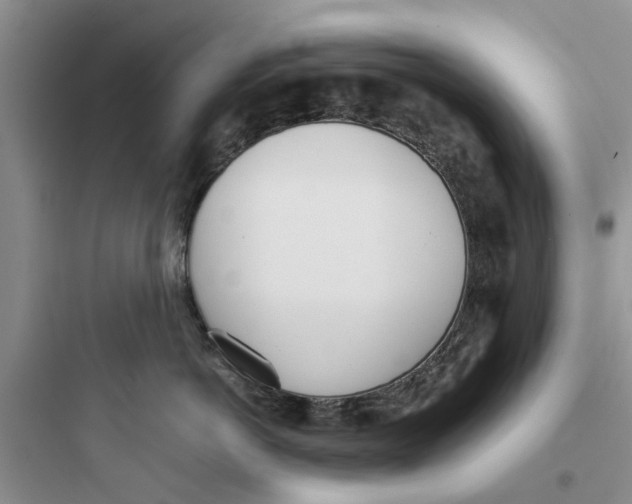 X0000097640766200803211832