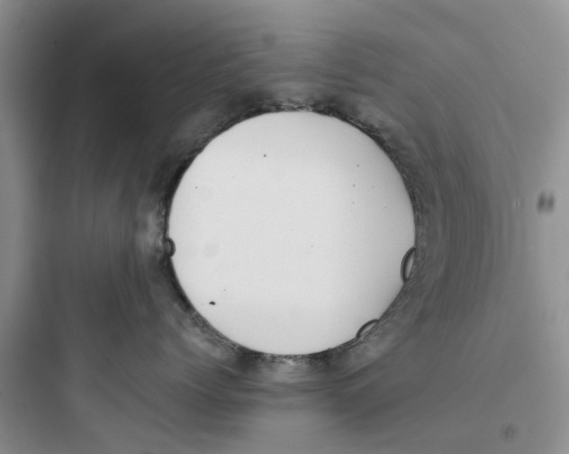 X0000097640768200803211832