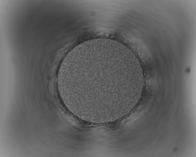 X0000097640769200803211832