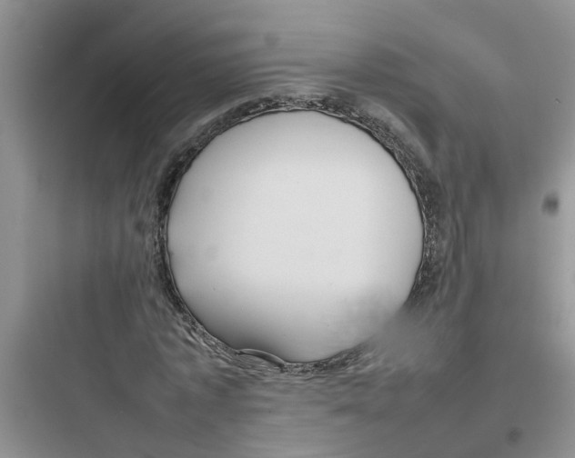 X0000097640773200803211832