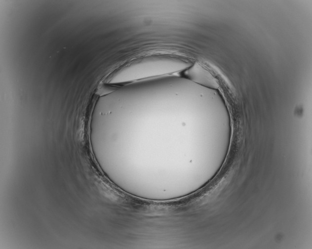 X0000097640777200803211832