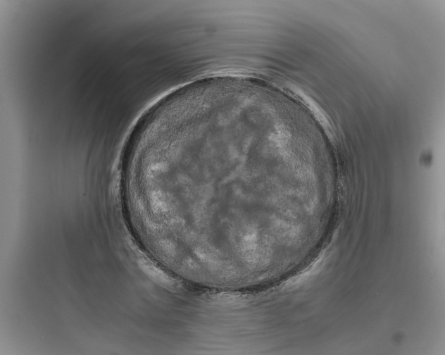 X0000097640779200803211832