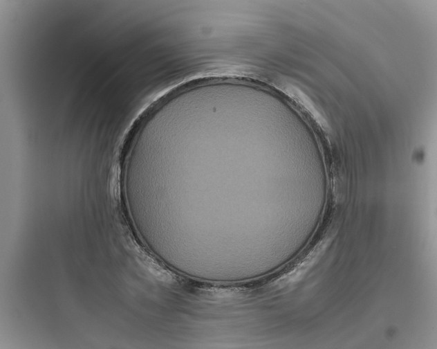 X0000097640781200803211831