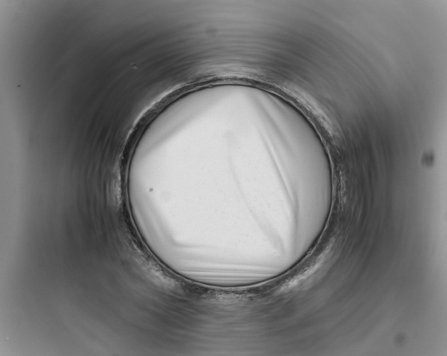 X0000097640782200803211831