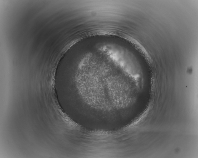 X0000097640785200803211831