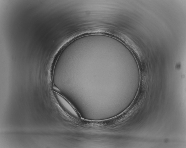 X0000097640789200803211831