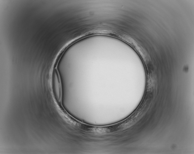 X0000097640795200803211831