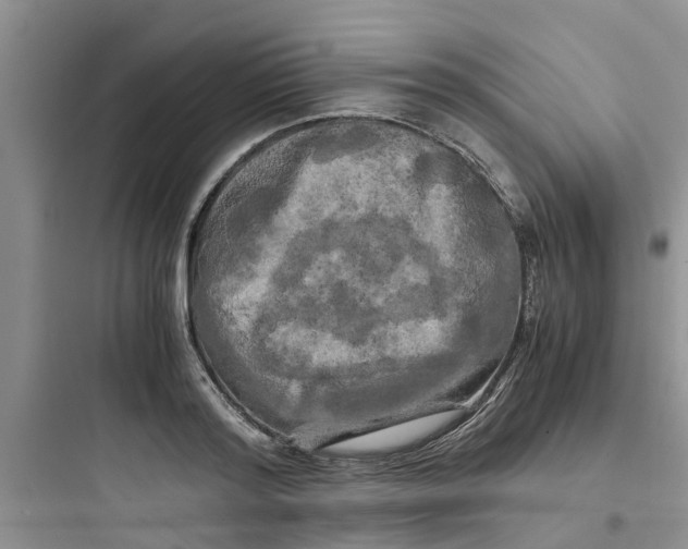 X0000097640796200803211831