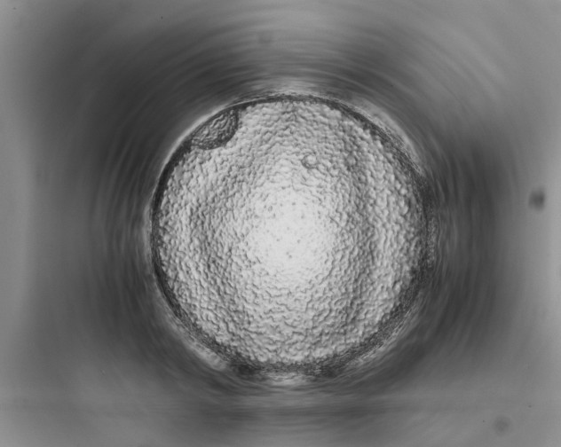 X0000097640798200803211831