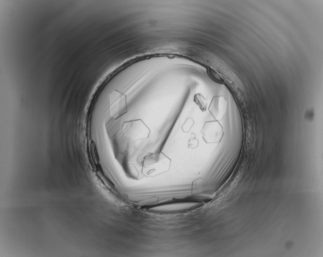 X0000097640800200803211831