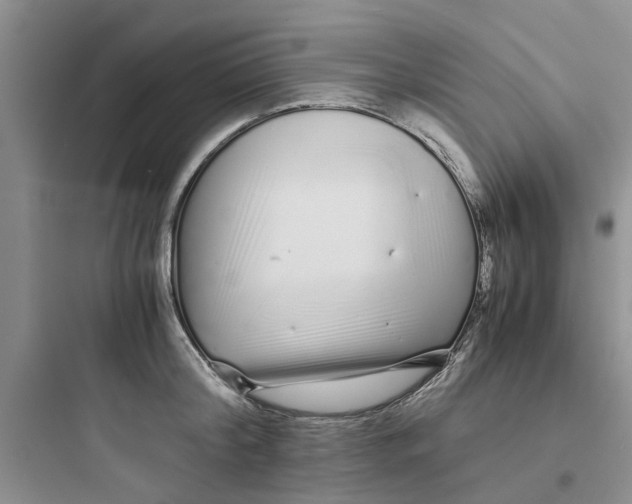 X0000097640804200803211831