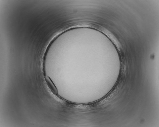 X0000097640805200803211831