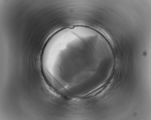 X0000097640806200803211831