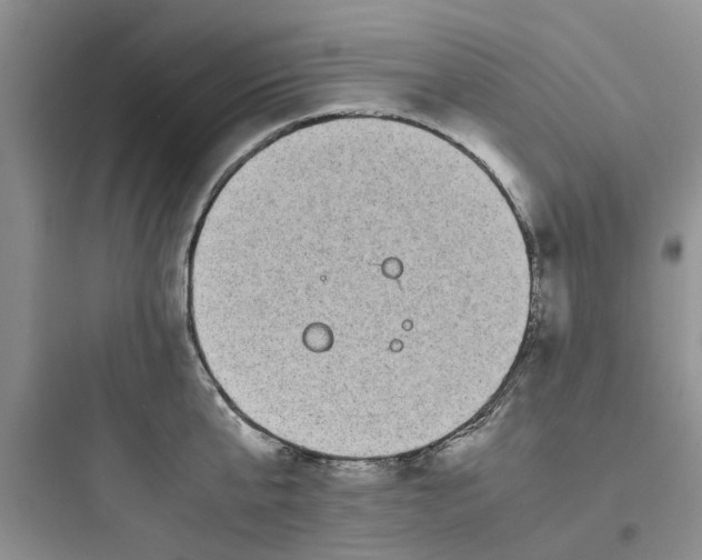 X0000097640807200803211831