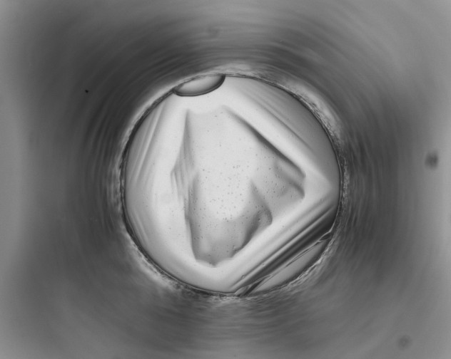 X0000097640808200803211831