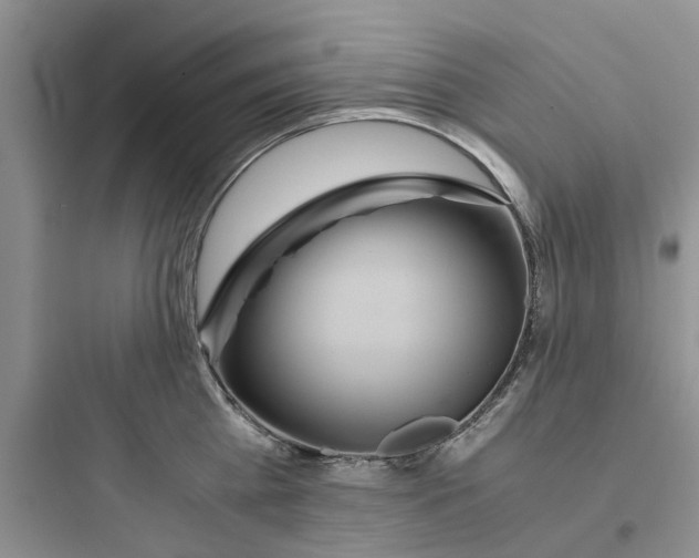 X0000097640809200803211831