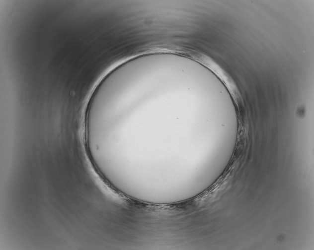 X0000097640811200803211831