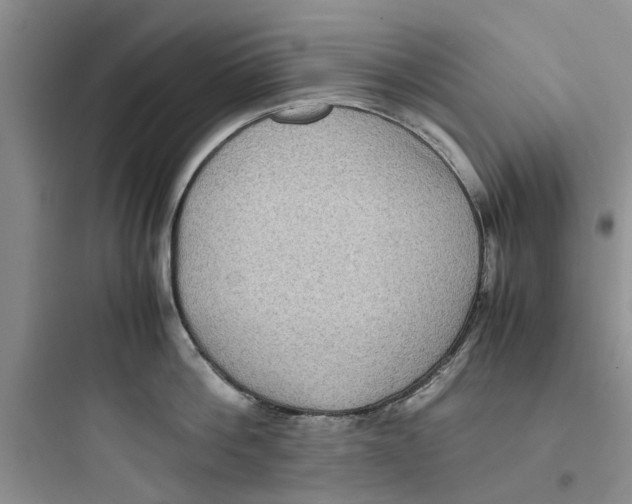 X0000097640812200803211831