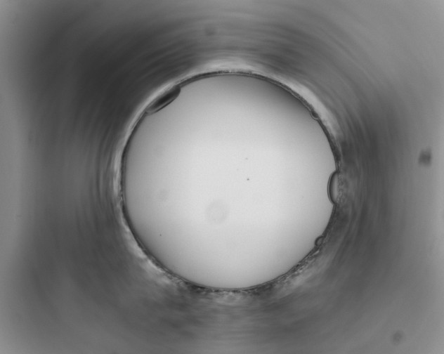 X0000097640815200803211831