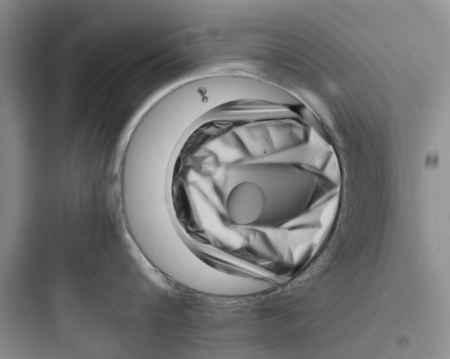 X0000097640816200803211831