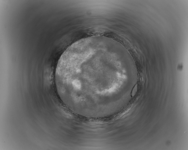 X0000097640818200803211830