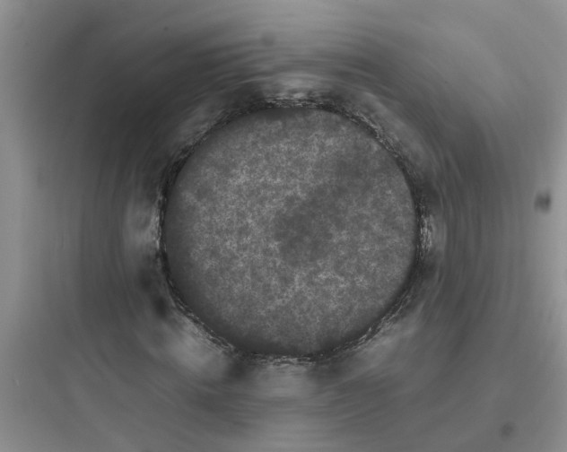 X0000097640820200803211830