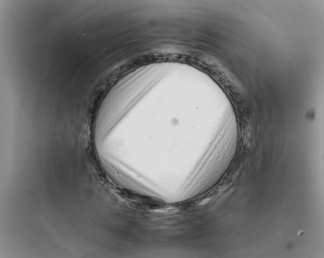 X0000097640821200803211830