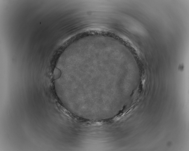 X0000097640822200803211830