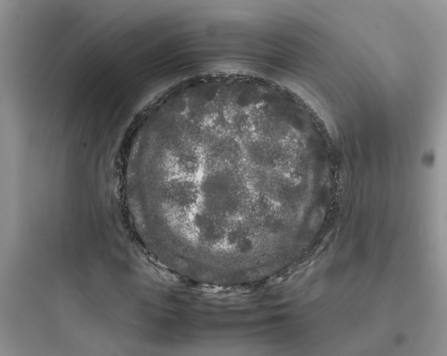 X0000097640823200803211830