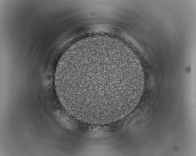 X0000097640824200803211830