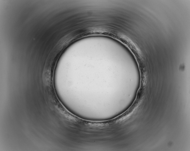 X0000097640825200803211830