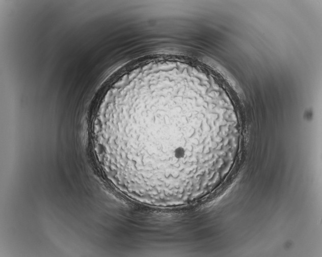 X0000097640829200803211830