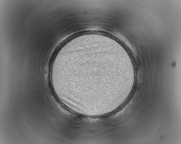 X0000097640831200803211830