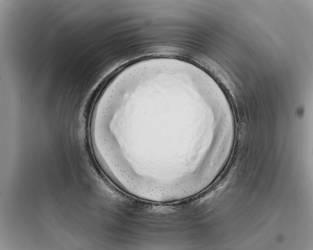 X0000097640835200803211830