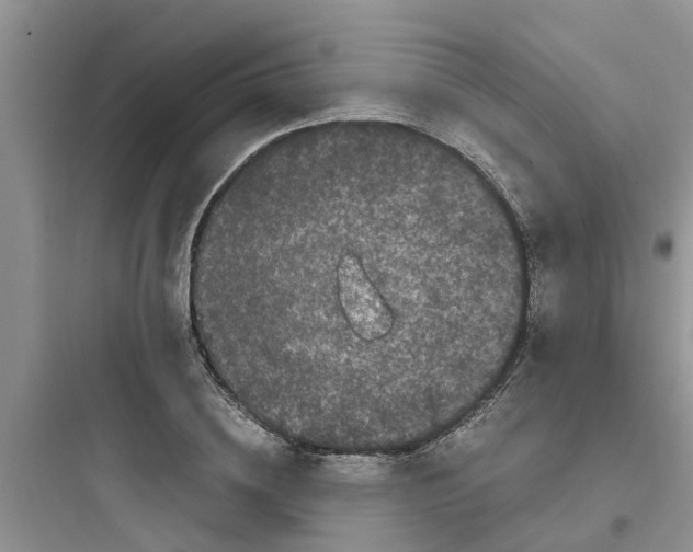 X0000097640836200803211830