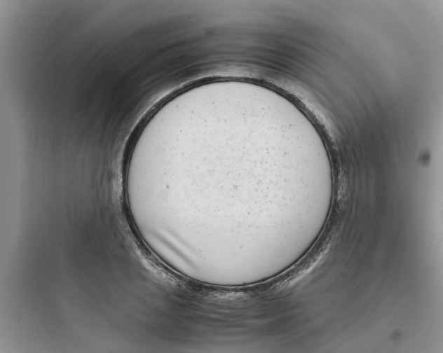 X0000097640837200803211830