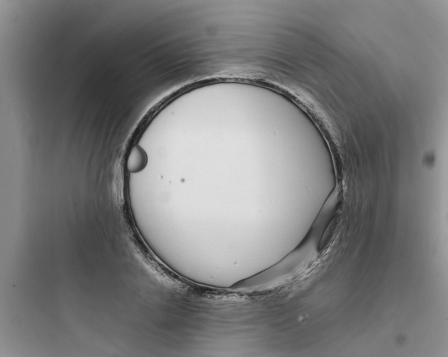 X0000097640838200803211830