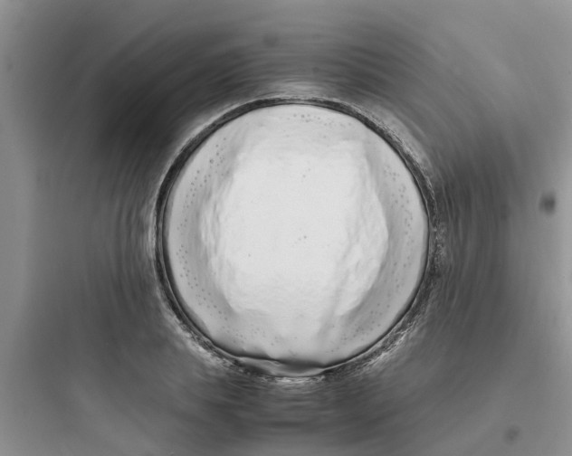 X0000097640839200803211830