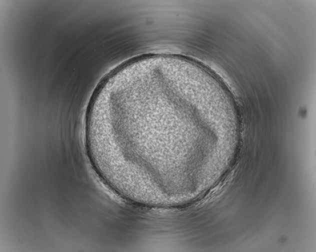 X0000097640840200803211830