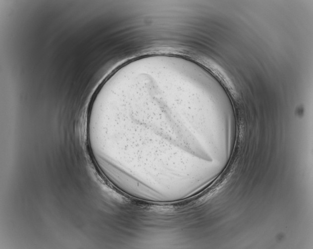 X0000097640844200803211831