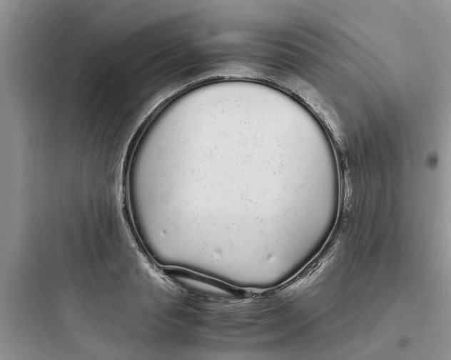 X0000097640845200803211831