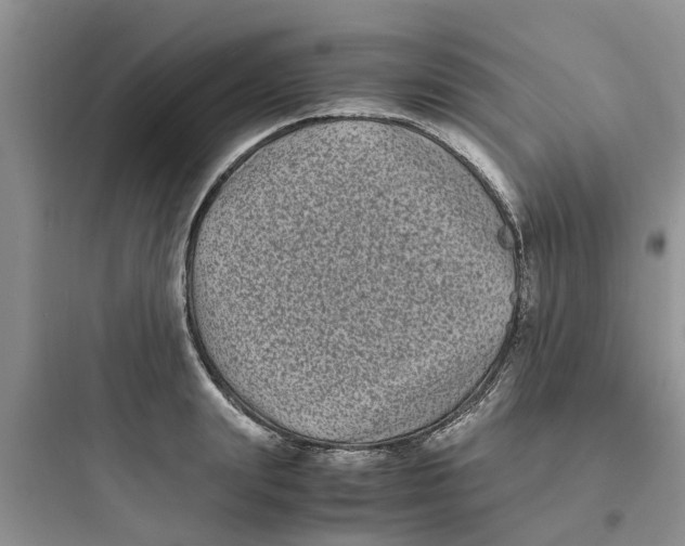 X0000097640847200803211831